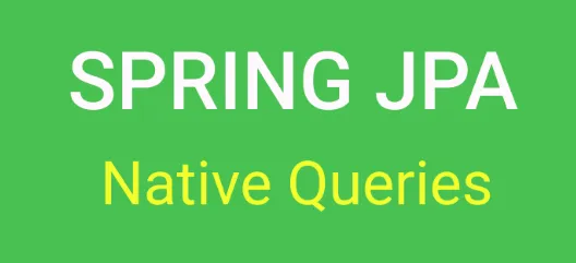 Native Query. 네이티브 쿼리